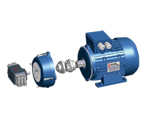 B.A.R. Group - Electric Motors